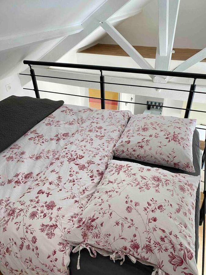 Proche Paris Et Disney-Calme Absolu Vaires-sur-Marne Kültér fotó